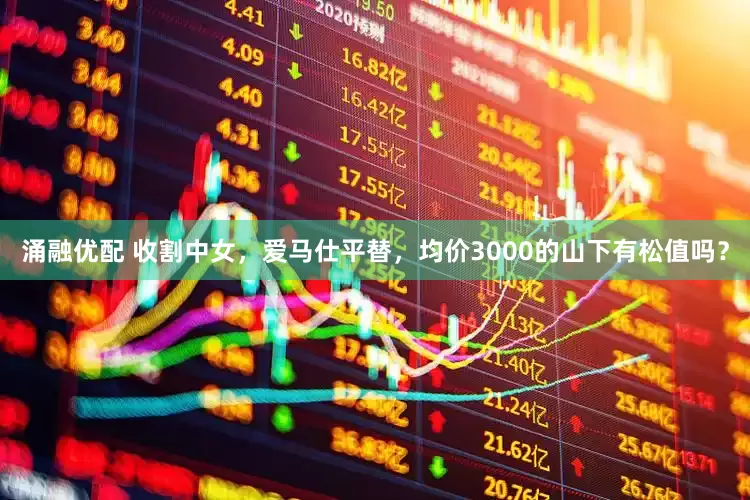 涌融优配 收割中女，爱马仕平替，均价3000的山下有松值吗？