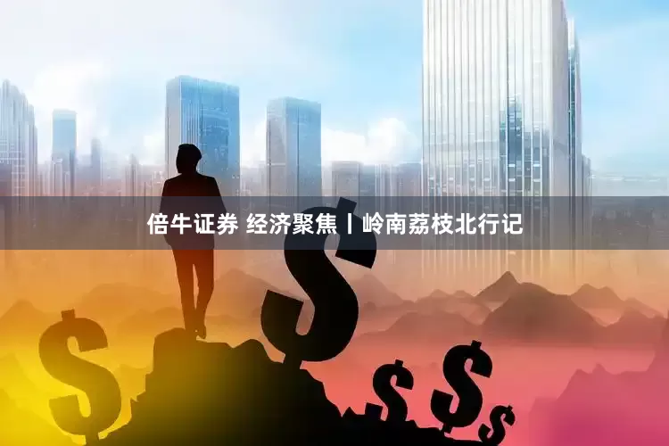 倍牛证券 经济聚焦丨岭南荔枝北行记