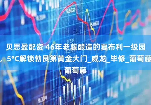 贝思盈配资 46年老藤酿造的夏布利一级园，5°C解锁勃艮第黄金大门_威龙_毕修_葡萄藤
