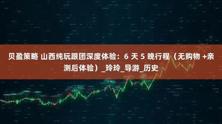 贝盈策略 山西纯玩跟团深度体验：6 天 5 晚行程（无购物 +亲测后体验）_玲玲_导游_历史