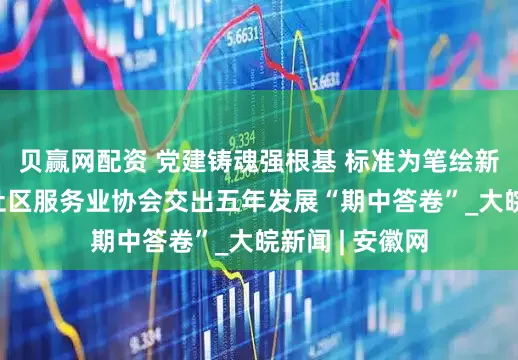 贝赢网配资 党建铸魂强根基 标准为笔绘新篇——安徽省社区服务业协会交出五年发展“期中答卷”_大皖新闻 | 安徽网