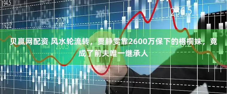 贝赢网配资 风水轮流转，贾静雯靠2600万保下的梧桐妹，竟成了前夫唯一继承人
